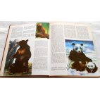 Les animaux - Une encyclopédie du monde animal