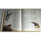 Birds of the world - L. Austin, A. Singer - Paul Hamlyn, 1966