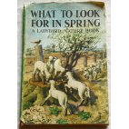 What to look for in spring - Wills & Hepworth Ltd., 1961