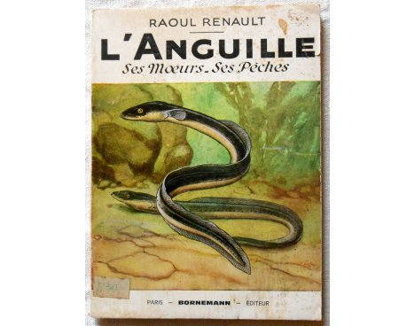 L'Anguille, ses mœurs, ses pêches - R. Renault - Bornemann, 1967