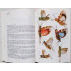 Guide des Insectes - Z. Severa - Hatier, 1986