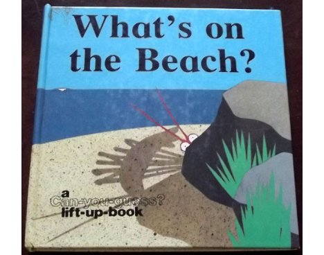 What's on the beach ?