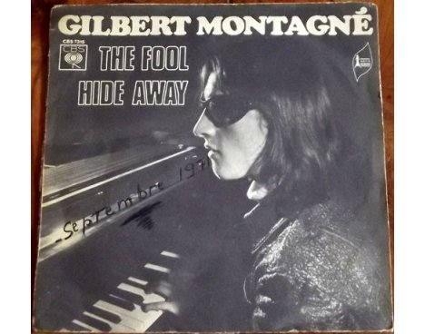Gilbert Montagné - The fool